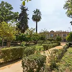 Veronica City Center Oasis